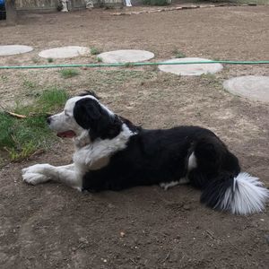 Meet your Posher, Suzanne